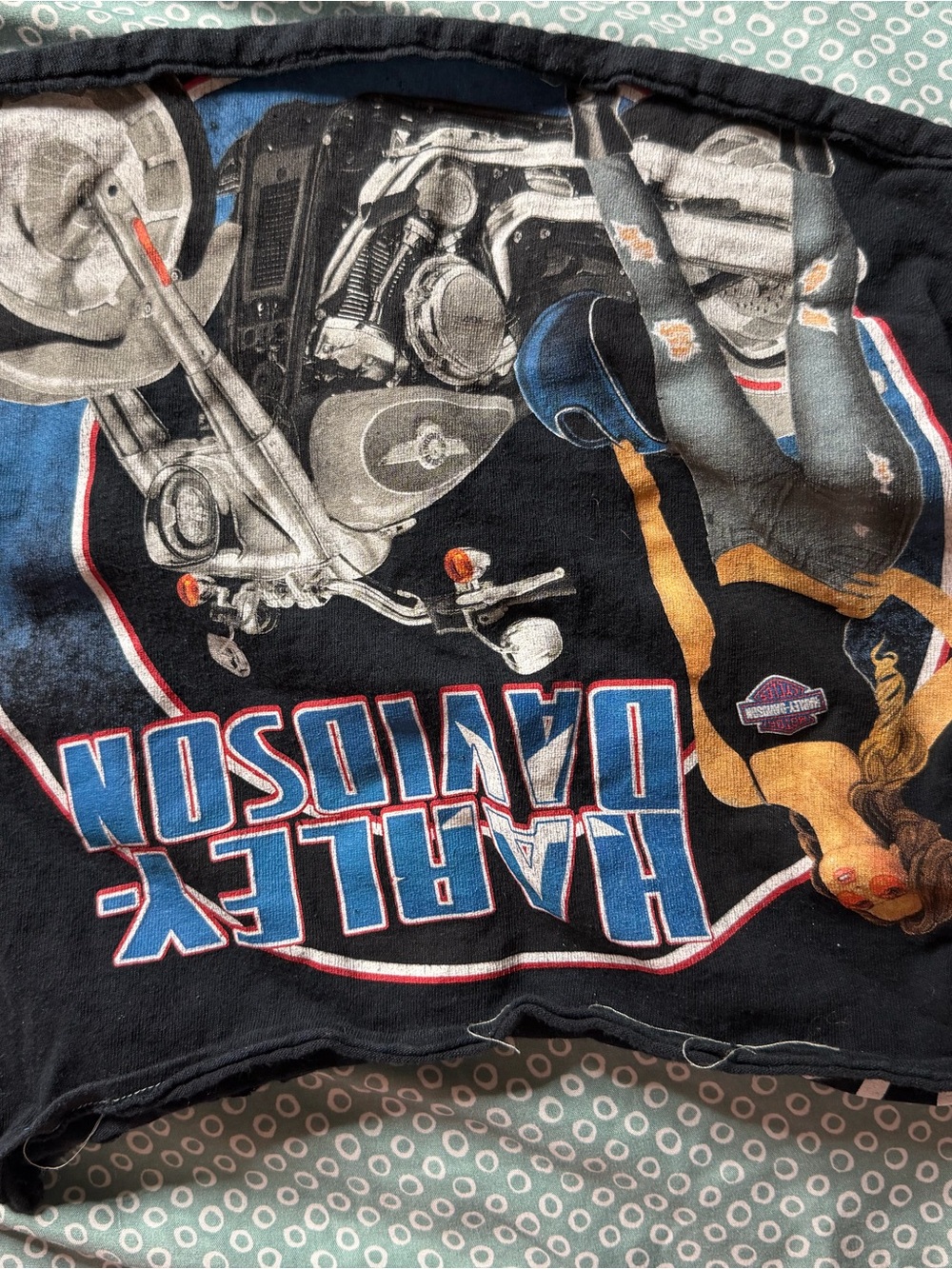Harley-Davidson Black Tee with Blue and Red Logo and Gold Accent